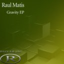 Raul Matis - Rails of time