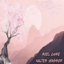 Axel Core - Imitation of Reality