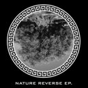 ARIS - Mashing (Original Mix)