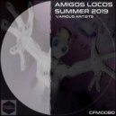 Moduless - Distorted Archive ()