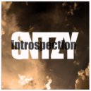 SNTZY - Introspection