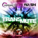 Contraversy & Toxik - Transmute (Dub VIP)