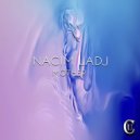 Nacim Ladj - Ambivalence (Original mix)