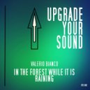 Valerio Bianco - In The Forest While It Is Raining (Original Mix)