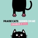 Praise Cats - Shined On Me