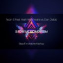 Robin S Feat. Yeah Yeah Yeahs vs. Don Diablo - Show Me Momentum (Slepoff & Arkstone Mashup)