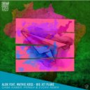 Alok & Mathie Koss - Big Jet Plane (Gaba Kamer, PRINSH & Evoxx Remix)