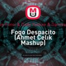 Luis Fonsi & Dady Yankee & Garmiani - Fogo Despacito (Ahmet Celık Mashup)