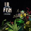 Lil Fish - Theory