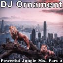 DJ Ornament - Powerful Jungle Mix. Part 2 ()