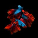 Anthony Poteat - Dance (Blaq Owl Main mix)