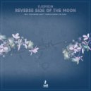 K.Oshkin - Reverse Side Of The Moon (Mario Kassar Remix)