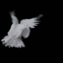 Remzi - Alpha Dove
