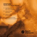 Synthek - Consciousness & Intent