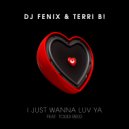 DJ Fenix & Terri B! - I just wanna luv ya