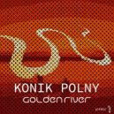 ANALOGUE SENSATION MODELLING & konik polny - Speed