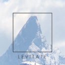 versaris. & kayn - Levitate