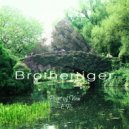 Brothertiger - Back To Us (Original Mix)