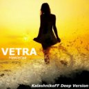 VETRA - Навсегда (KalashnikoFF remix)