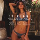 Dj Vianu - Driving Me Crazy
