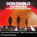 Don Diablo vs Jonas Blue & Theresa Rex - What I Like About Survival (Astapchik MashUp)