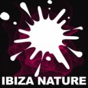 Sviz - Tokio (Original mix)