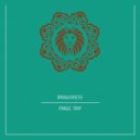 Drowsiness - Magic Trip (Original Mix)