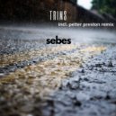 Sebes & Petter Preston - Trims (Petter Preston Remix)
