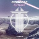 Biggoose - Future