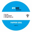 Papper Soul - The light in the win (Original Mix)