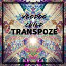 Voodoo Child - Coaxial (Original Mix)
