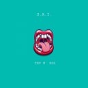 S.A.Y. - Play Play Play
