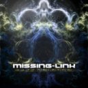 Missing-Link - Simple (Original Mix)