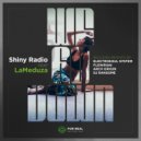 Shiny Radio & LaMeduza - We Go Down (Flowrian Remix)