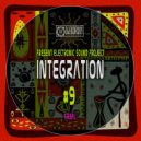 DJ Egorsky (Electronic Sound) - Integration#9