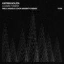 Katrin Souza - A Dark Forest (Paul Angelo & Don Argento Remix)