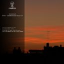 STUPR - You And The Night And The Music