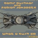 Damir Pushkar, Fabian Jakopetz - Solarized Planet