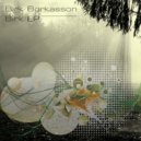 Birk Borkasson - Gammel (Original Mix)