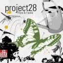 Project28 - Campanula