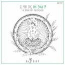 DJ Paul (AR) - Lost Soul (Dynacom & Bodai Ambient Remix)
