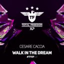 Cesare Caccia - Walk In The Dream