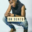 Dr Senzo - Sphalaphala Sami (feat. DJ Ex)