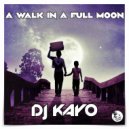 Dj Kayo - Africana (Original Mix)