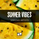 Luis Pitti - Jungle (Original Mix)