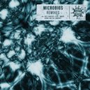 Kob Tila - Vicious Circle