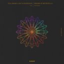 Following Light, Risingsun - Dreams of Metropolis (Signal One Remix)
