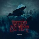 What So Not - Stranger Things (Remix)