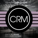 L.A.V - Critical Stage