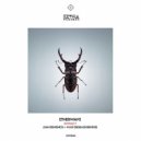 Etherwave - Extract (Juan Deminicis, Ale Menghi Remix)